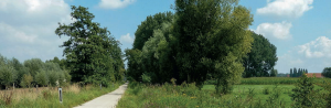 vakantiewoning baerthof gastenverblijf baerthof